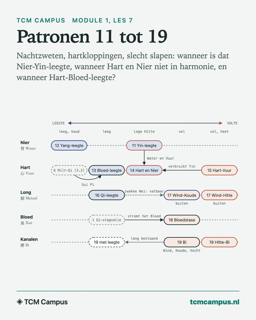 Patronen 11 tot 19: Nachtzweten, hartkloppingen, slecht slapen: wanneer is dat Nier-Yin-leegte, wanneer Hart en Nier niet in harmonie, en wanneer Hart-Bloed-leegte?