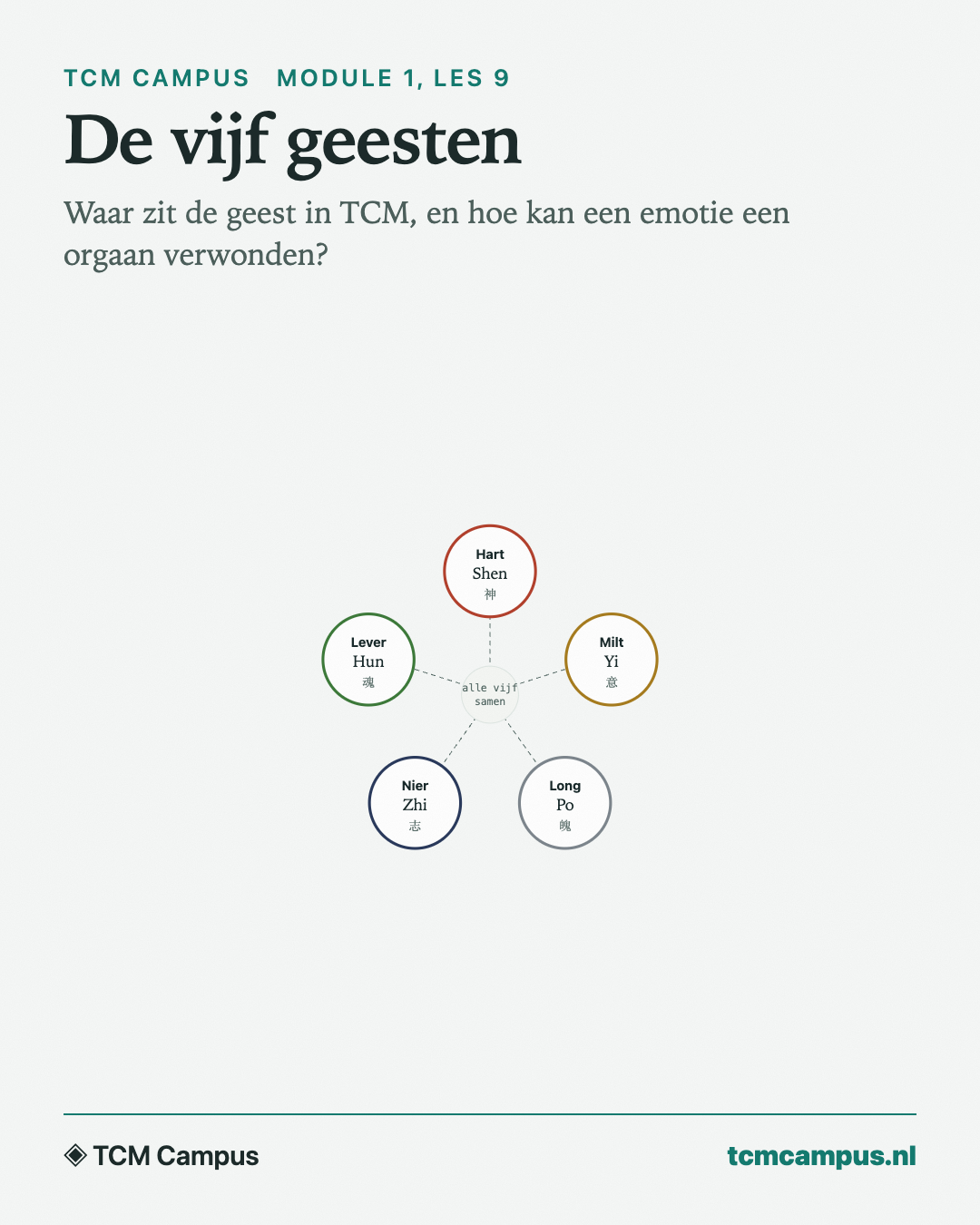 De vijf geesten: Waar zit de geest in TCM, en hoe kan een emotie een orgaan verwonden?