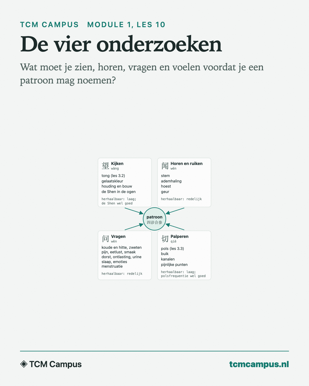 De vier onderzoeken: Wat moet je zien, horen, vragen en voelen voordat je een patroon mag noemen?