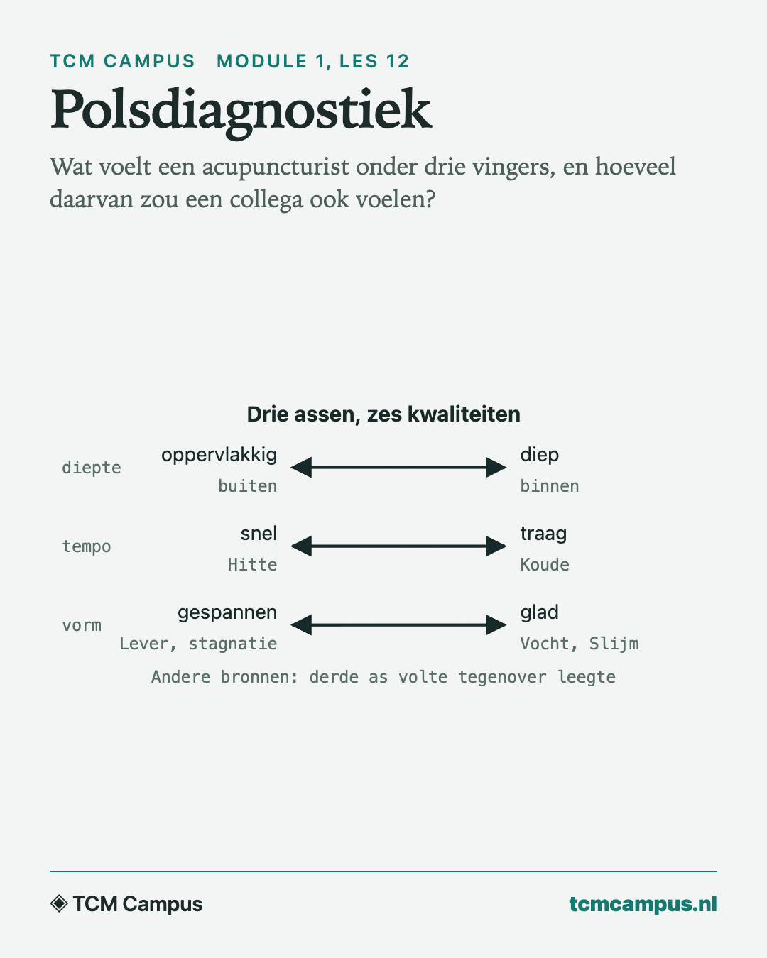 Polsdiagnostiek: Wat voelt een acupuncturist onder drie vingers, en hoeveel daarvan zou een collega ook voelen?