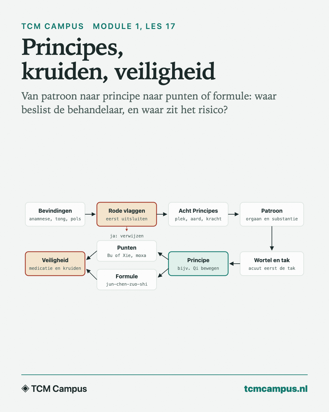 Principes, kruiden, veiligheid: Van patroon naar principe naar punten of formule: waar beslist de behandelaar, en waar zit het risico?