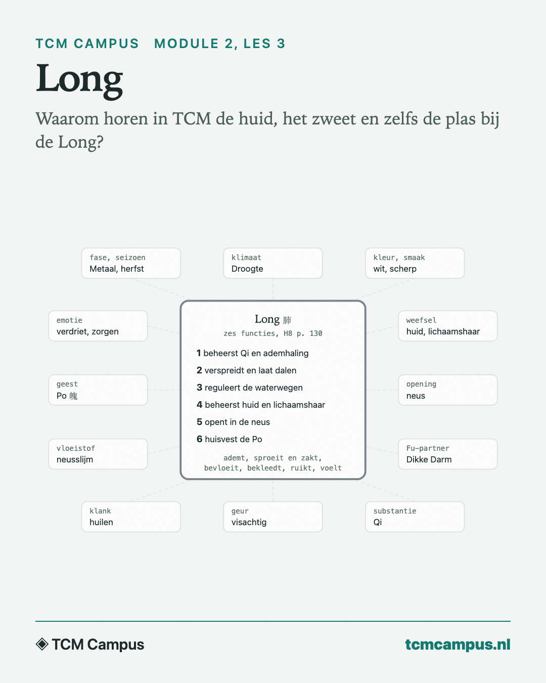 Long: Waarom horen in TCM de huid, het zweet en zelfs de plas bij de Long?