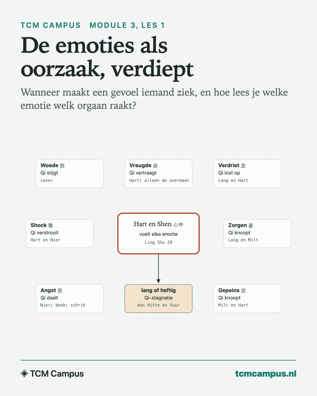 De emoties als oorzaak, verdiept: Wanneer maakt een gevoel iemand ziek, en hoe lees je welke emotie welk orgaan raakt?
