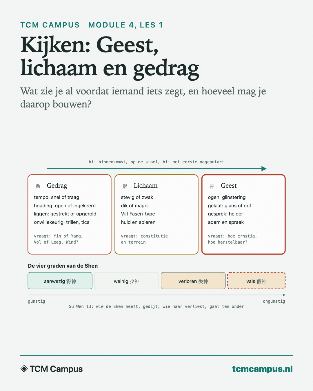 Kijken: Geest, lichaam en gedrag: Wat zie je al voordat iemand iets zegt, en hoeveel mag je daarop bouwen?