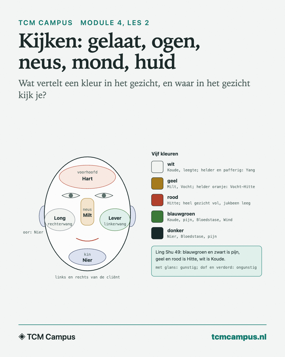 Kijken: gelaat, ogen, neus, mond, huid: Wat vertelt een kleur in het gezicht, en waar in het gezicht kijk je?