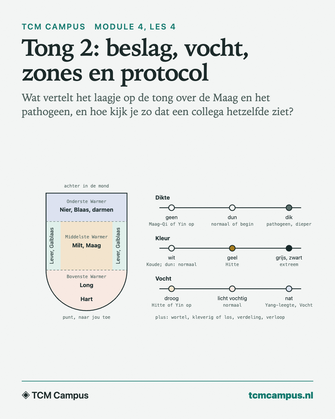 Tong 2: beslag, vocht, zones en protocol: Wat vertelt het laagje op de tong over de Maag en het pathogeen, en hoe kijk je zo dat een collega hetzelfde ziet?