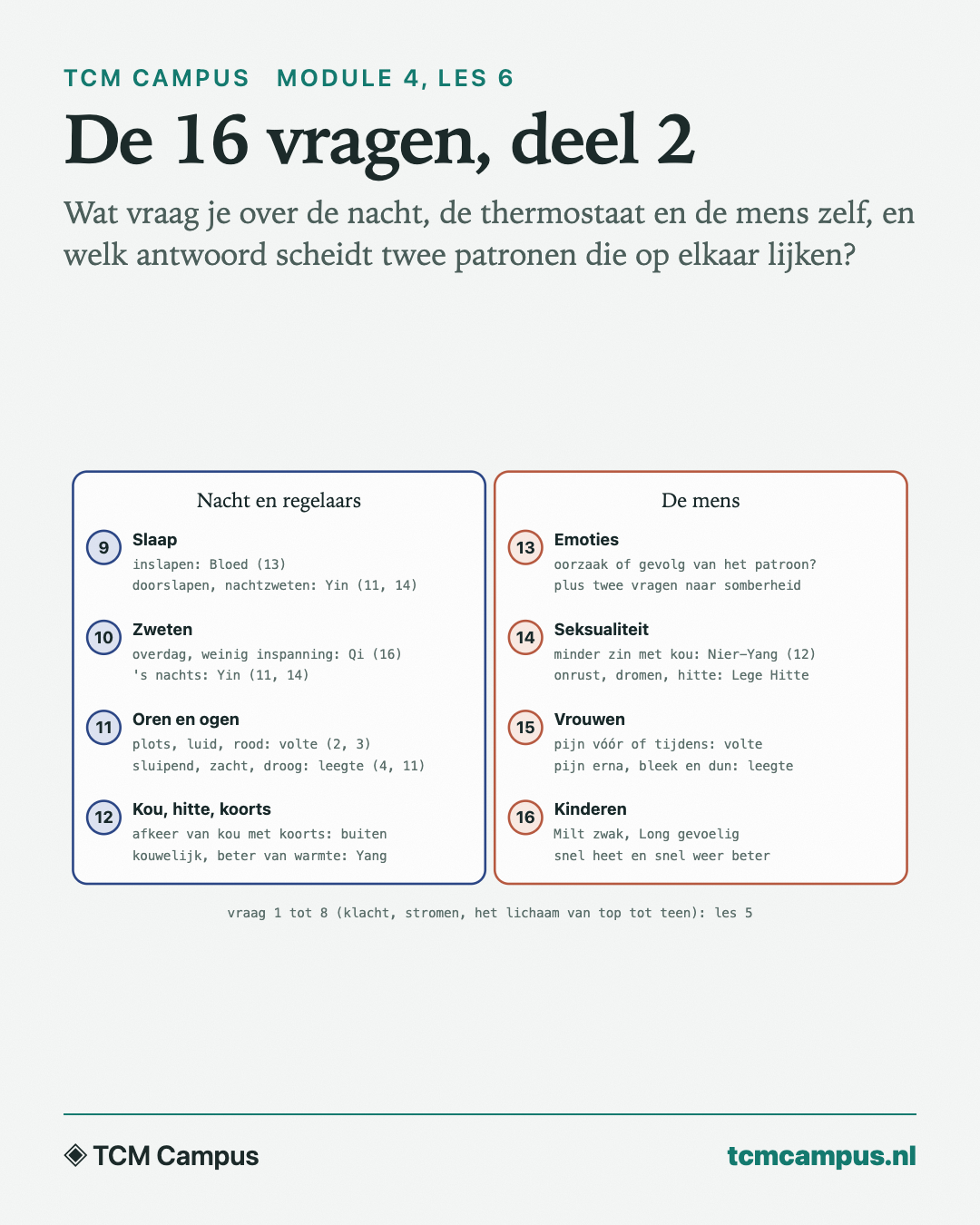 De 16 vragen, deel 2: Wat vraag je over de nacht, de thermostaat en de mens zelf, en welk antwoord scheidt twee patronen die op elkaar lijken?