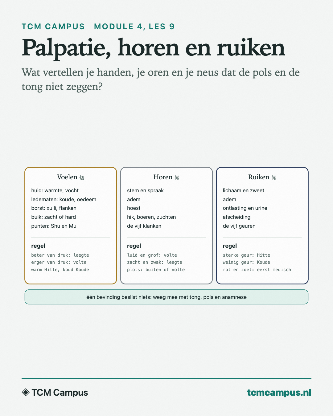 Palpatie, horen en ruiken: Wat vertellen je handen, je oren en je neus dat de pols en de tong niet zeggen?