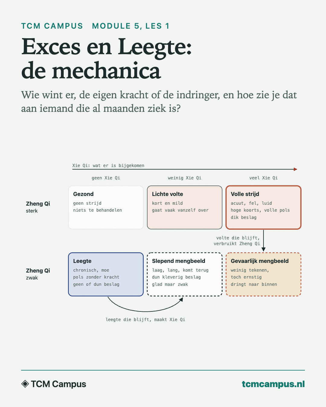 Exces en Leegte: de mechanica: Wie wint er, de eigen kracht of de indringer, en hoe zie je dat aan iemand die al maanden ziek is?