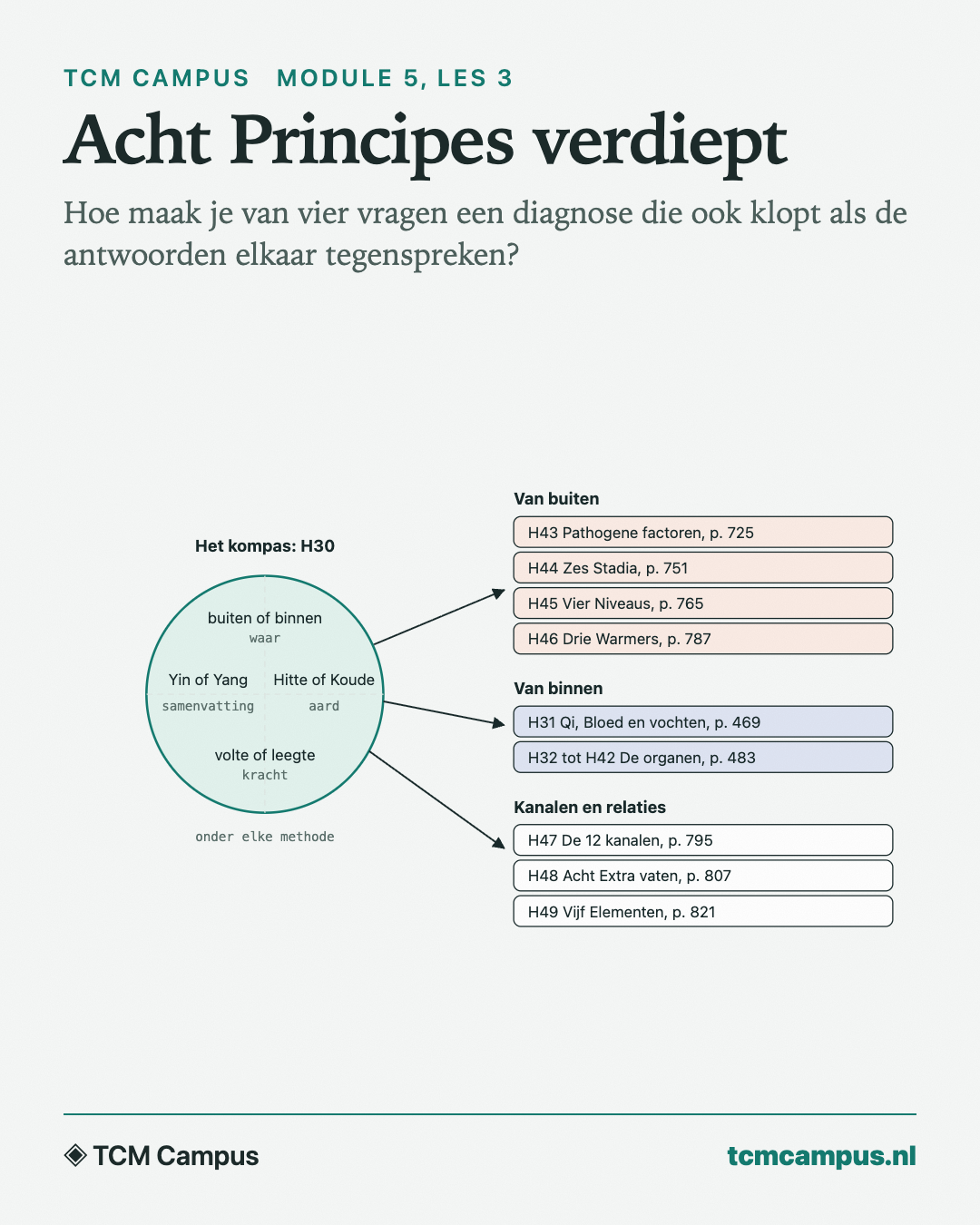 Acht Principes verdiept: Hoe maak je van vier vragen een diagnose die ook klopt als de antwoorden elkaar tegenspreken?