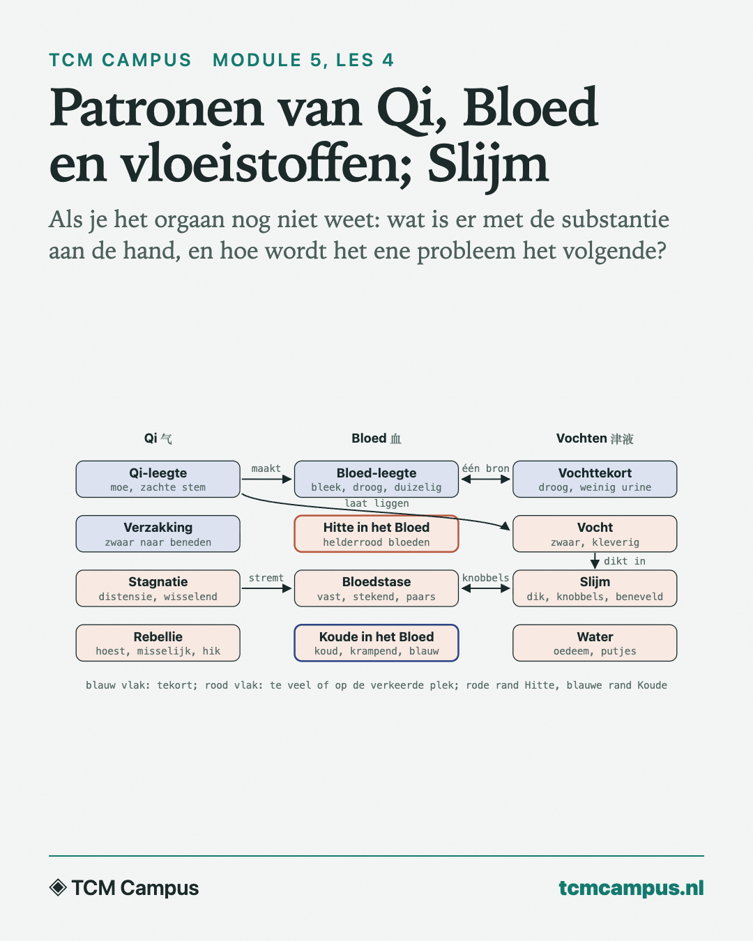 Patronen van Qi, Bloed en vloeistoffen; Slijm: Als je het orgaan nog niet weet: wat is er met de substantie aan de hand, en hoe wordt het ene probleem het volgende?