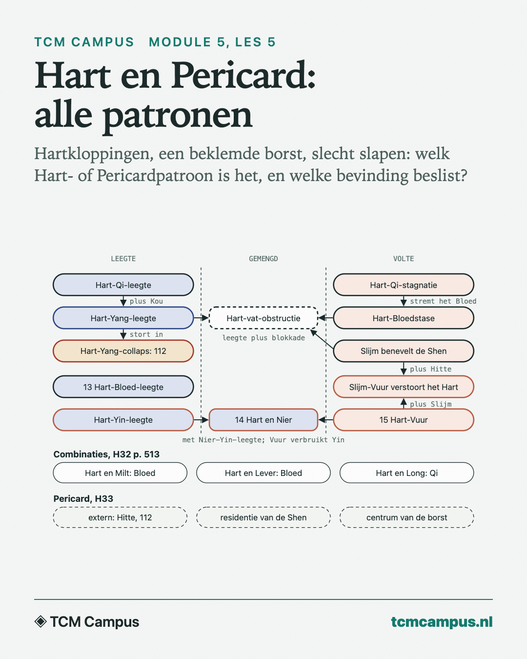 Hart en Pericard: alle patronen: Hartkloppingen, een beklemde borst, slecht slapen: welk Hart- of Pericardpatroon is het, en welke bevinding beslist?