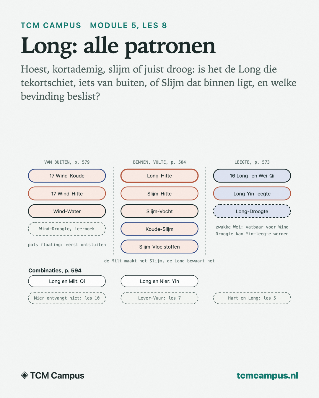 Long: alle patronen: Hoest, kortademig, slijm of juist droog: is het de Long die tekortschiet, iets van buiten, of Slijm dat binnen ligt, en welke bevinding beslist?