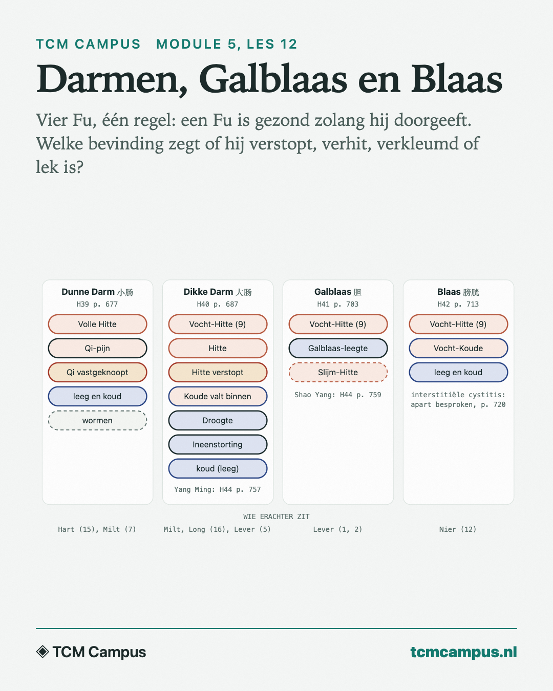 Darmen, Galblaas en Blaas: Vier Fu, één regel: een Fu is gezond zolang hij doorgeeft. Welke bevinding zegt of hij verstopt, verhit, verkleumd of lek is?