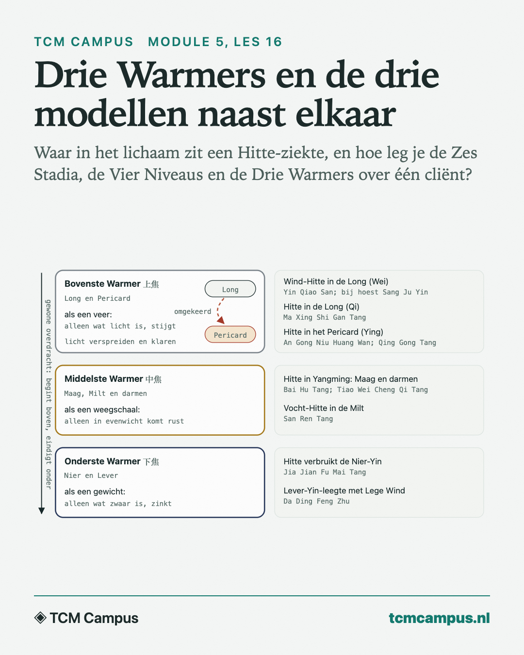 Drie Warmers en de drie modellen naast elkaar: Waar in het lichaam zit een Hitte-ziekte, en hoe leg je de Zes Stadia, de Vier Niveaus en de Drie Warmers over één cliënt?