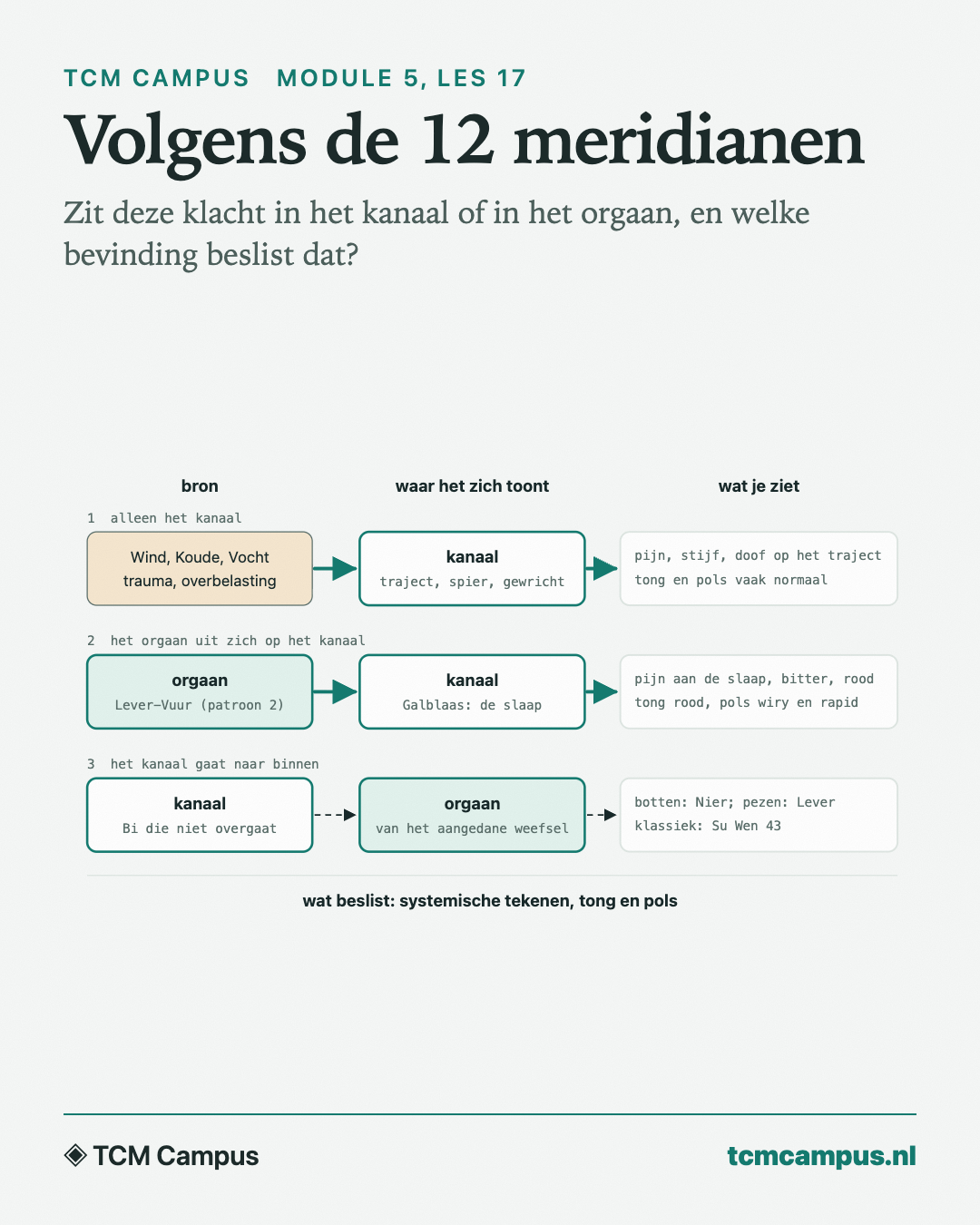 Volgens de 12 meridianen: Zit deze klacht in het kanaal of in het orgaan, en welke bevinding beslist dat?