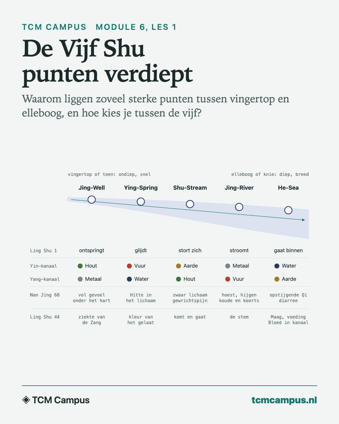 De Vijf Shu punten verdiept: Waarom liggen zoveel sterke punten tussen vingertop en elleboog, en hoe kies je tussen de vijf?