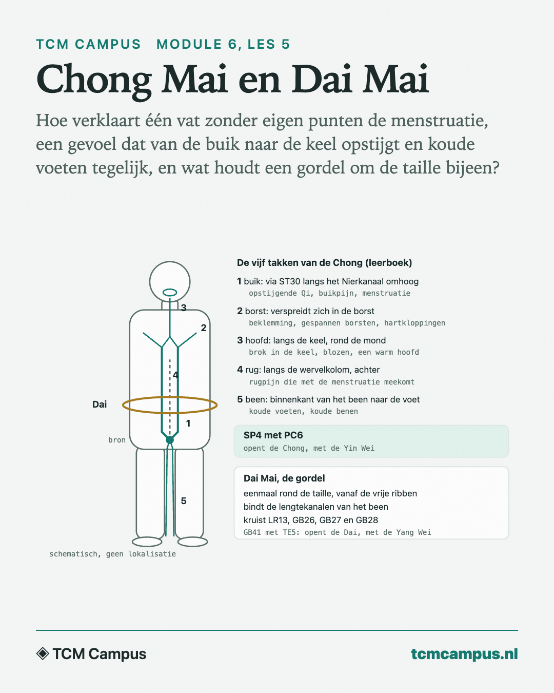 Chong Mai en Dai Mai: Hoe verklaart één vat zonder eigen punten de menstruatie, een gevoel dat van de buik naar de keel opstijgt en koude voeten tegelijk, en wat houdt een gordel om de taille bijeen?