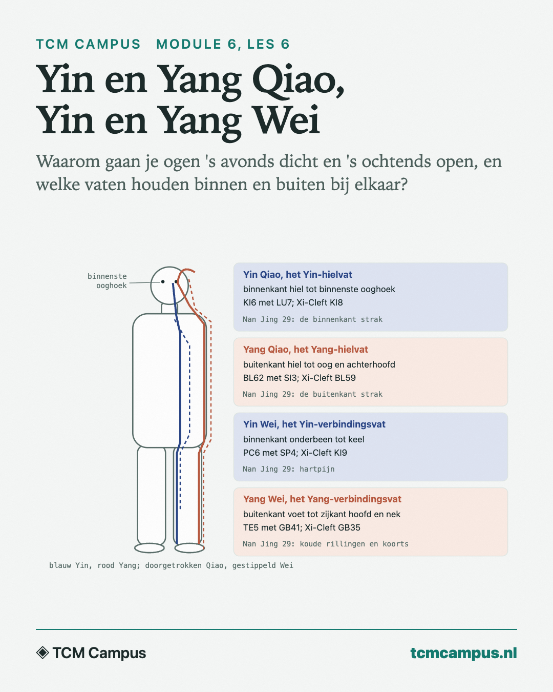 Yin en Yang Qiao, Yin en Yang Wei: Waarom gaan je ogen 's avonds dicht en 's ochtends open, en welke vaten houden binnen en buiten bij elkaar?