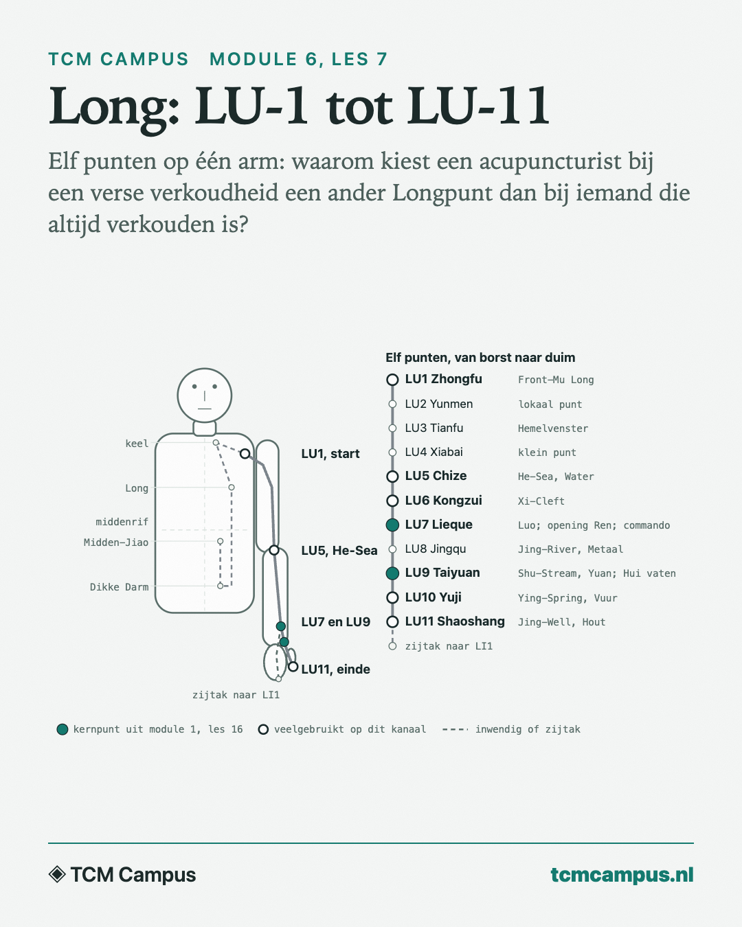 Long: LU-1 tot LU-11: Elf punten op één arm: waarom kiest een acupuncturist bij een verse verkoudheid een ander Longpunt dan bij iemand die altijd verkouden is?