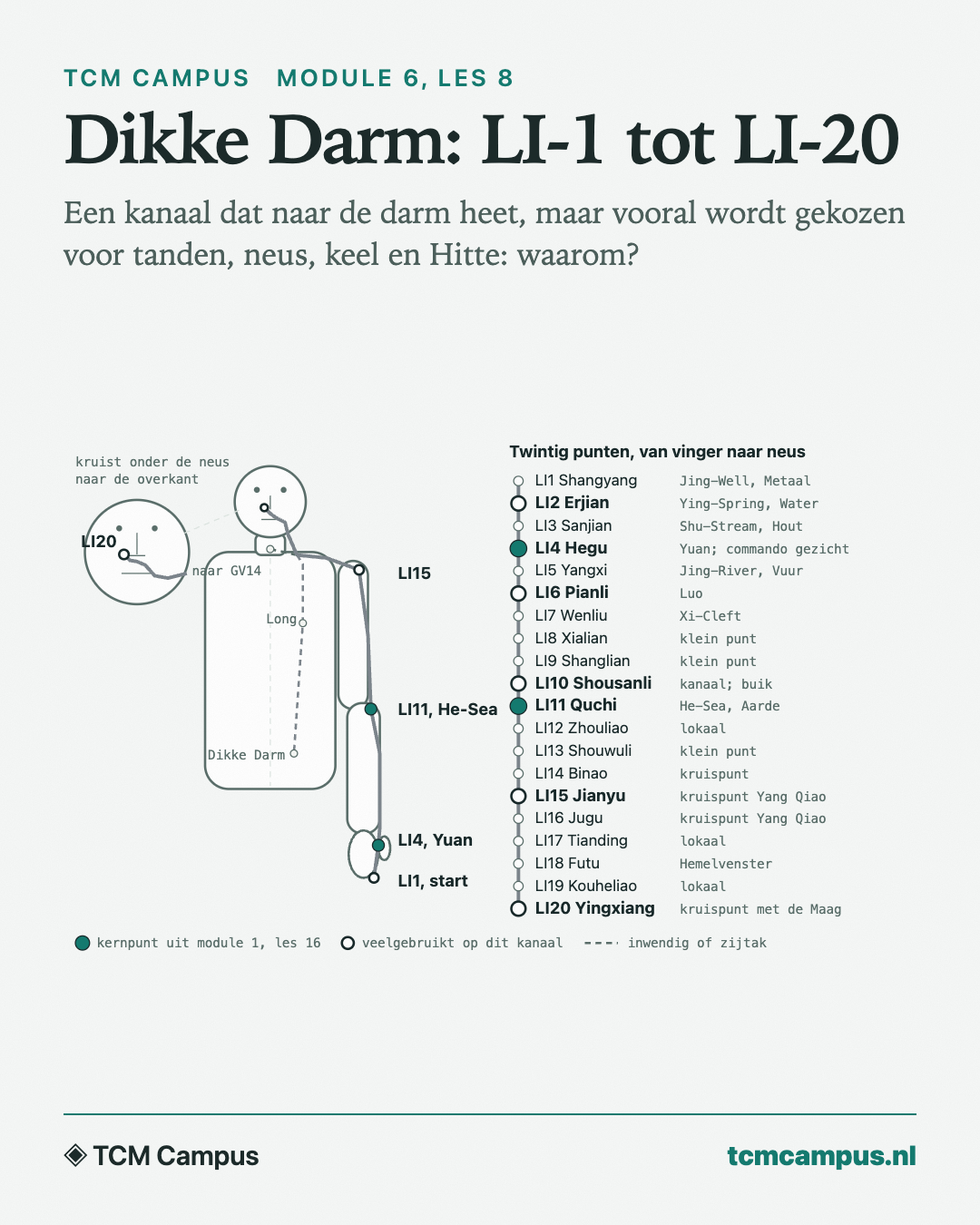 Dikke Darm: LI-1 tot LI-20: Een kanaal dat naar de darm heet, maar vooral wordt gekozen voor tanden, neus, keel en Hitte: waarom?