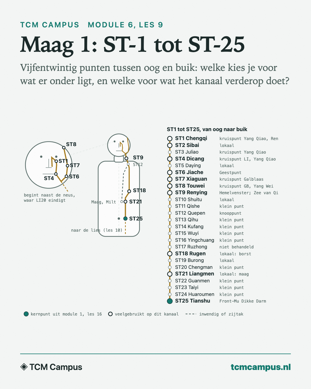 Maag 1: ST-1 tot ST-25: Vijfentwintig punten tussen oog en buik: welke kies je voor wat er onder ligt, en welke voor wat het kanaal verderop doet?