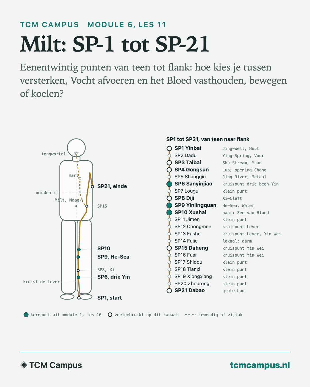 Milt: SP-1 tot SP-21: Eenentwintig punten van teen tot flank: hoe kies je tussen versterken, Vocht afvoeren en het Bloed vasthouden, bewegen of koelen?