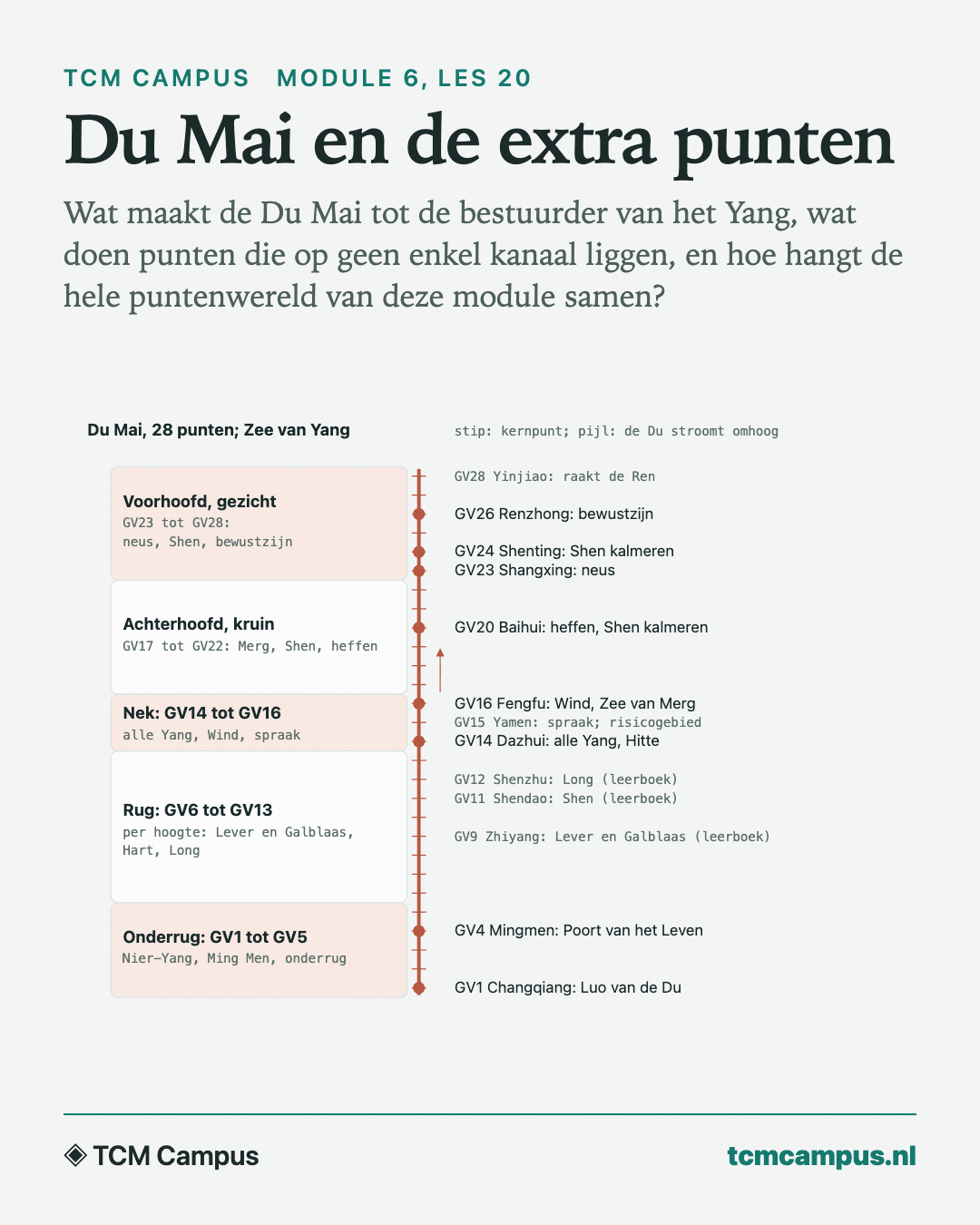 Du Mai en de extra punten: Wat maakt de Du Mai tot de bestuurder van het Yang, wat doen punten die op geen enkel kanaal liggen, en hoe hangt de hele puntenwereld van deze module samen?