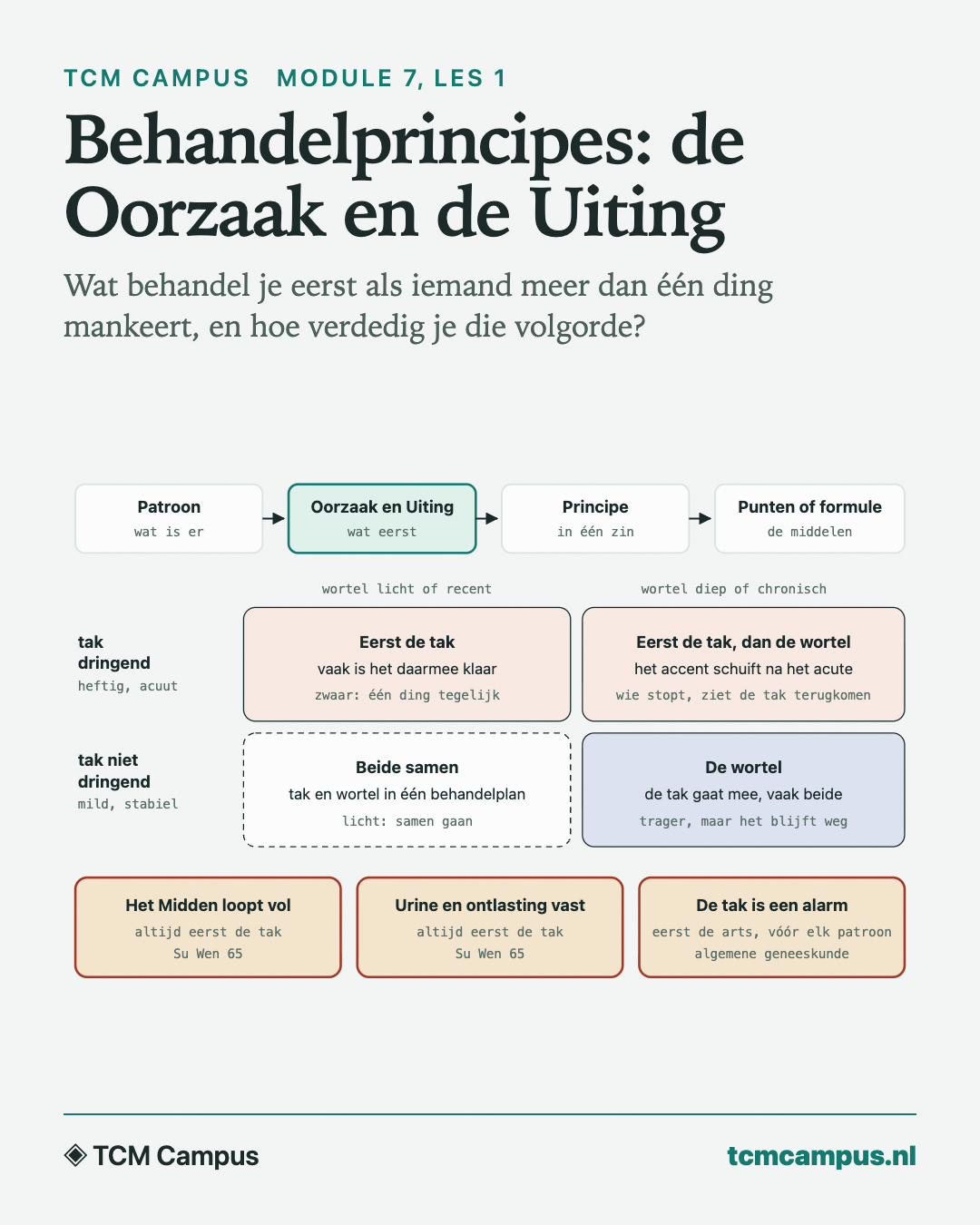 Behandelprincipes: de Oorzaak en de Uiting: Wat behandel je eerst als iemand meer dan één ding mankeert, en hoe verdedig je die volgorde?