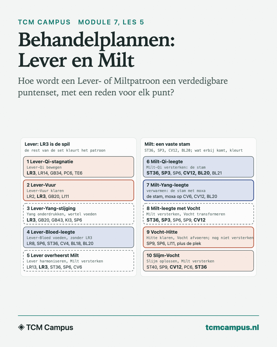 Behandelplannen: Lever en Milt: Hoe wordt een Lever- of Miltpatroon een verdedigbare puntenset, met een reden voor elk punt?