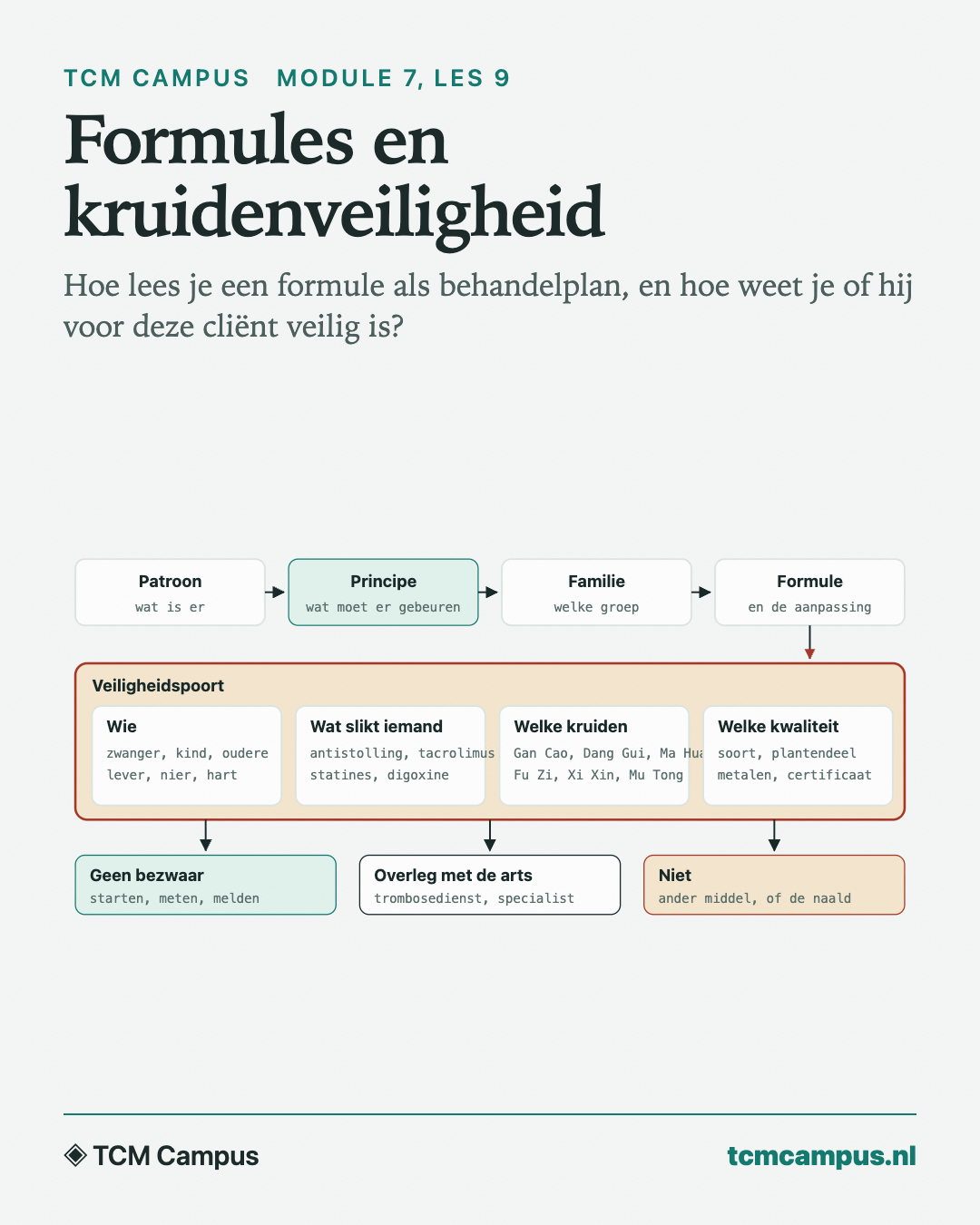 Formules en kruidenveiligheid: Hoe lees je een formule als behandelplan, en hoe weet je of hij voor deze cliënt veilig is?