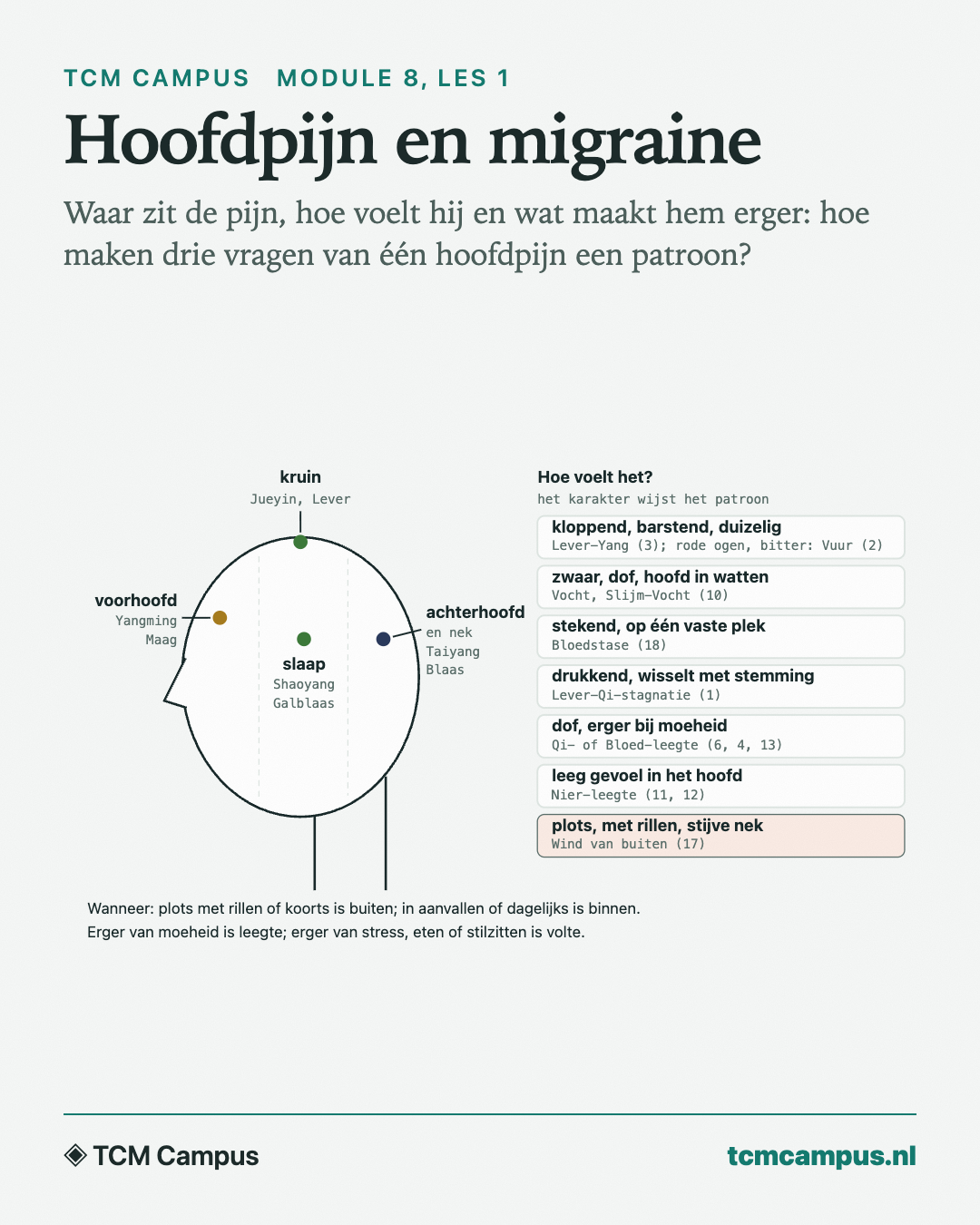 Hoofdpijn en migraine: Waar zit de pijn, hoe voelt hij en wat maakt hem erger: hoe maken drie vragen van één hoofdpijn een patroon?
