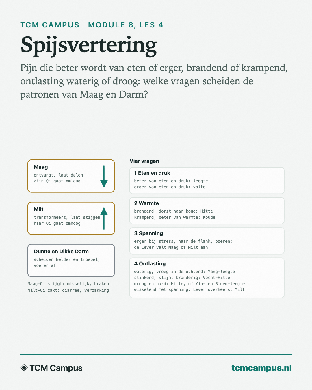 Spijsvertering: Pijn die beter wordt van eten of erger, brandend of krampend, ontlasting waterig of droog: welke vragen scheiden de patronen van Maag en Darm?